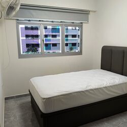 fengshan-greenville photo thumbnail #10